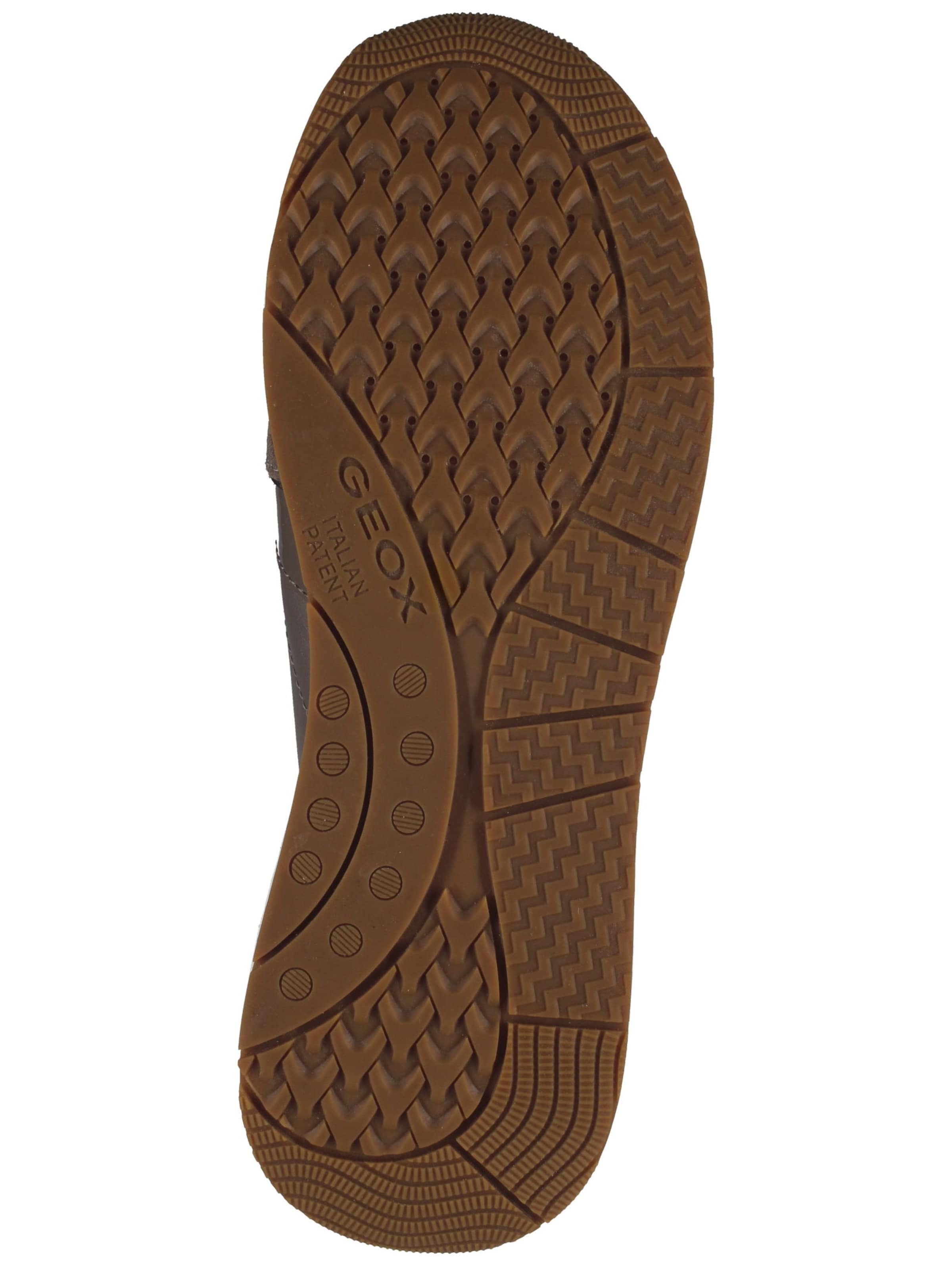 GEOX Sneakers in Brown