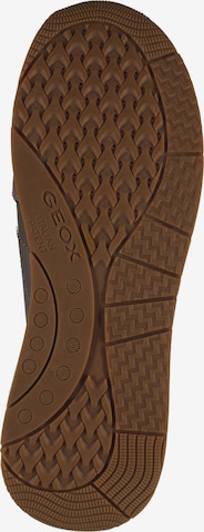 GEOX Sneakers in Brown