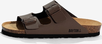 Bayton Pistokkaat 'Baltic' värissä ruskea: etupuoli