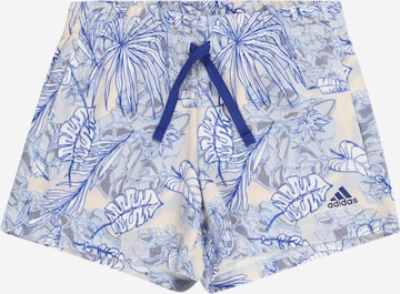 ADIDAS SPORTSWEAR Regular Sportbroek 'Summerglam' in Blauw: voorkant