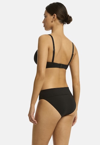 SEA LEVEL Push-up Bikinitop 'Essentials' in Schwarz