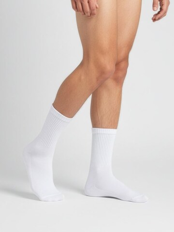 sockenkauf24 Athletic Socks in White: front