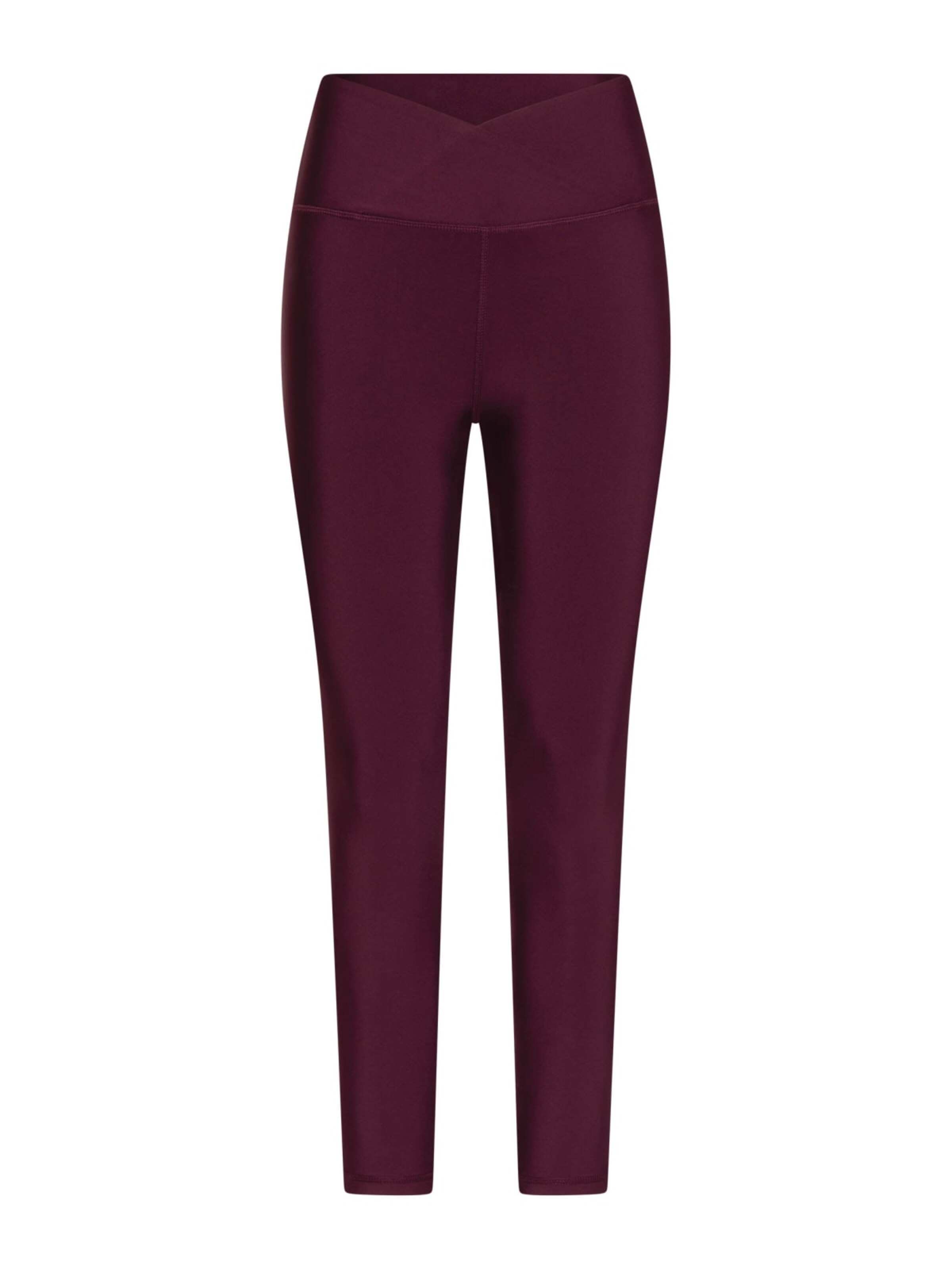 Lismina Slim fit Leggings '1087 Ve' in Purple: front