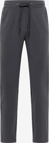 Elbsand Trousers 'Jonte' in Grey: front