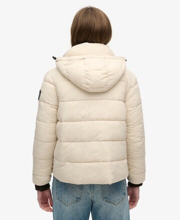 Superdry - Casaco de inverno em bege