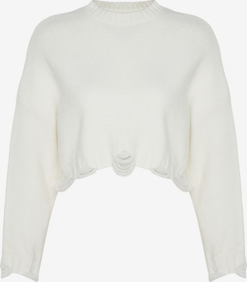 Trendyol Sweater in Beige: front