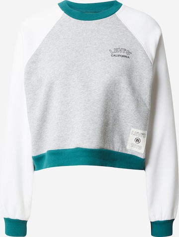 LEVI'S ® - Sudadera 'Vintage Raglan Crewneck Sweatshirt' en gris: frente