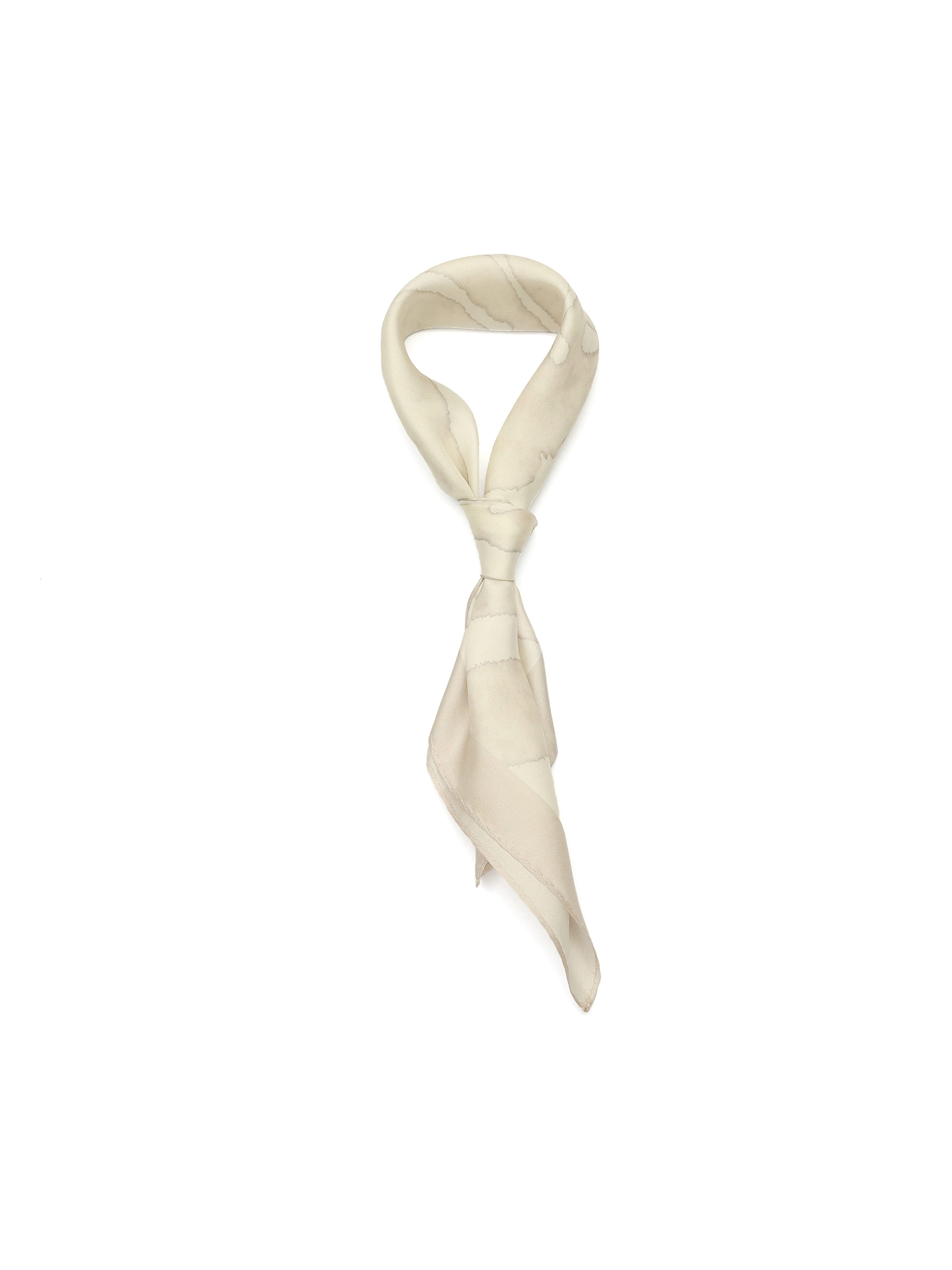 AllSaints Doek in Beige