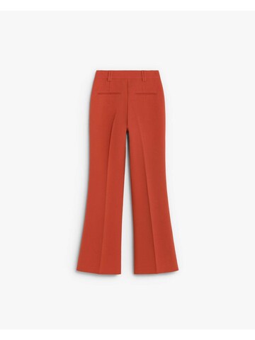 Scalpers Bootcut Παντελόνι ' ' σε κόκκινο: πίσω