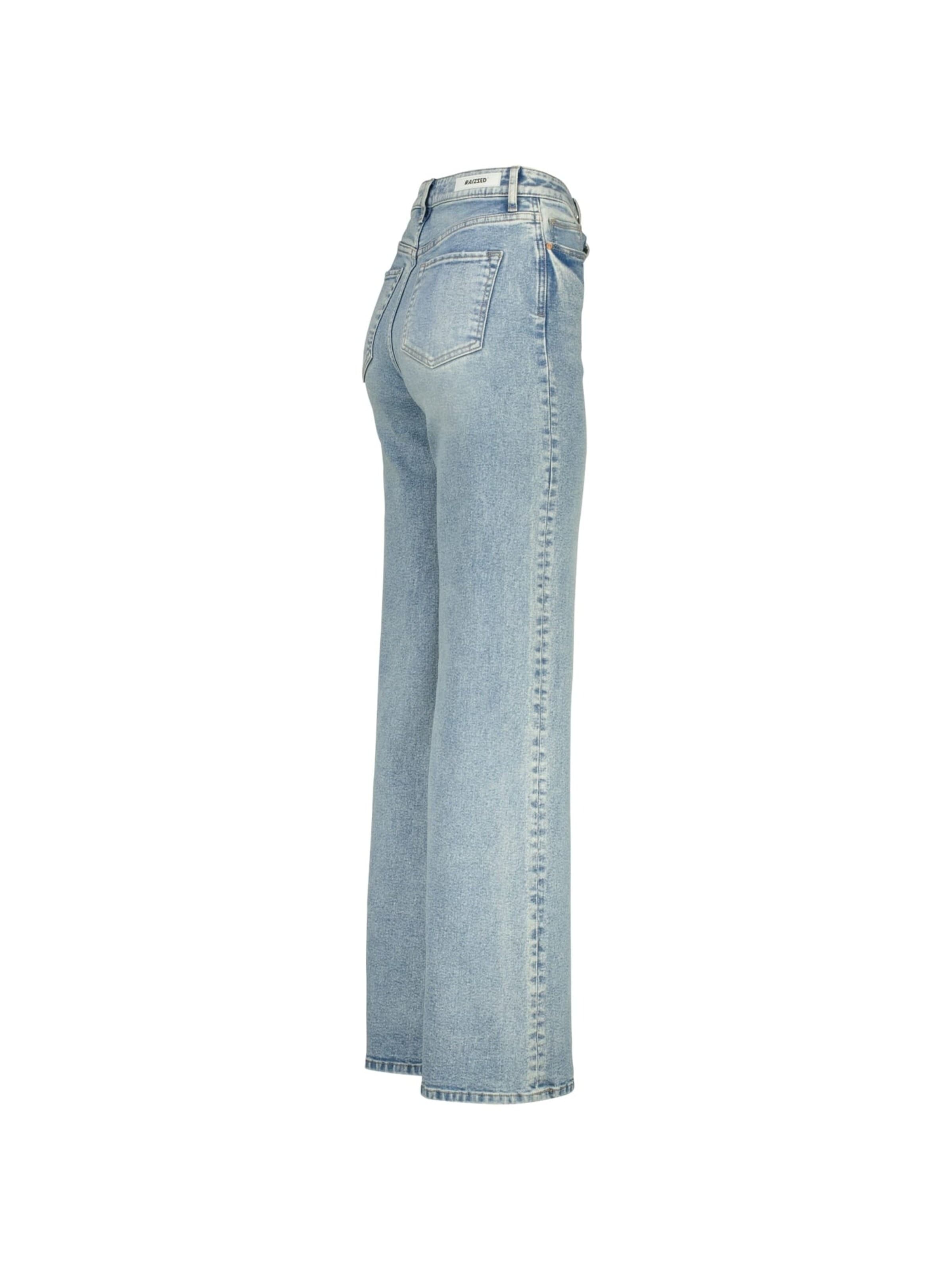 Raizzed Baggy Jeans in Blauw