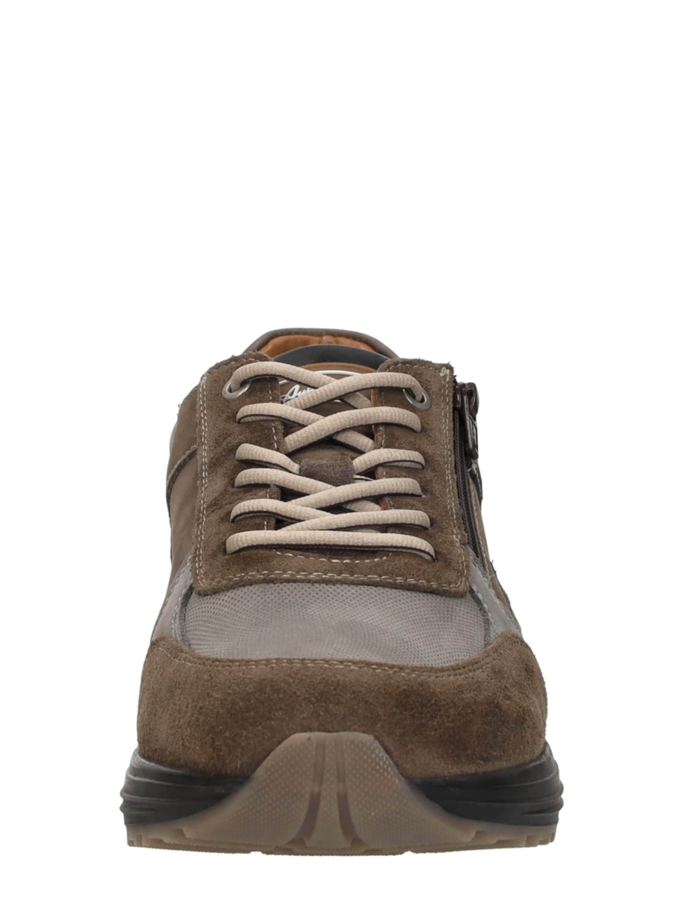 Australian Platform trainers 'Hawker' in Grey
