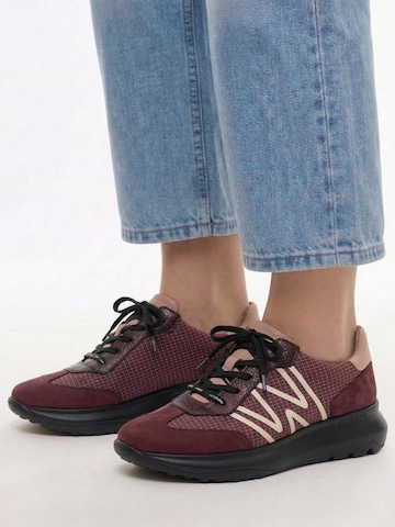 Wonders Platform trainers 'Vino' in Red