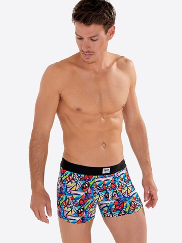 HOM Boxer shorts ' Idyle ' in Mixed colours: front
