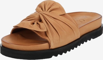 Mule ILC en marron : devant