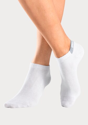 BENCH Socks in White