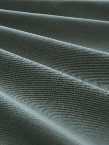 TOM TAILOR Shirt in Green