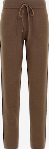 Regular Pantalon DEHA en marron : devant