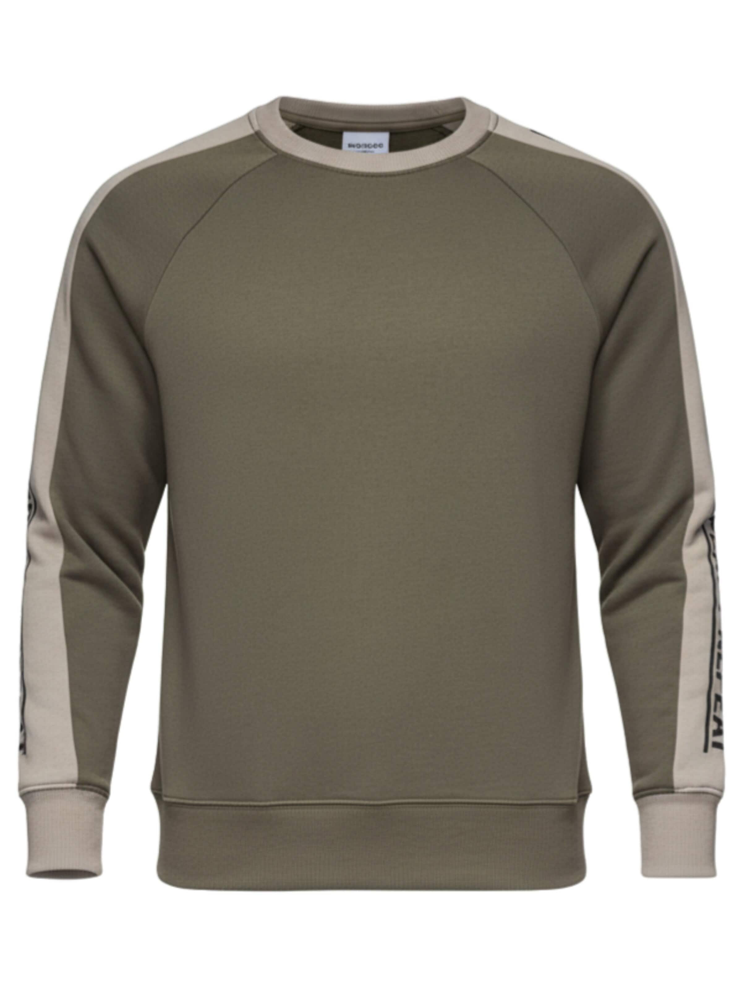 Ombre Sweatshirt in Green: front