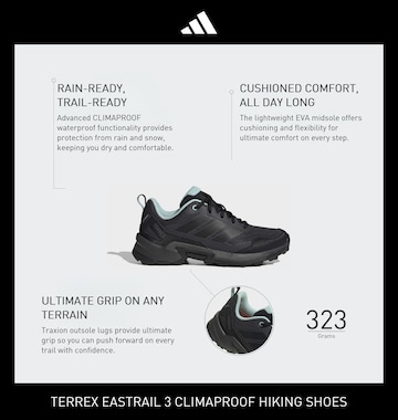Chaussure basse 'Eastrail 3' ADIDAS TERREX en noir