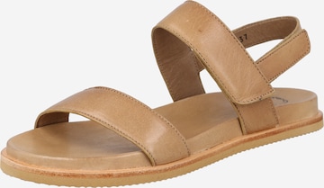 Ca'Shott Sandals in Beige: front