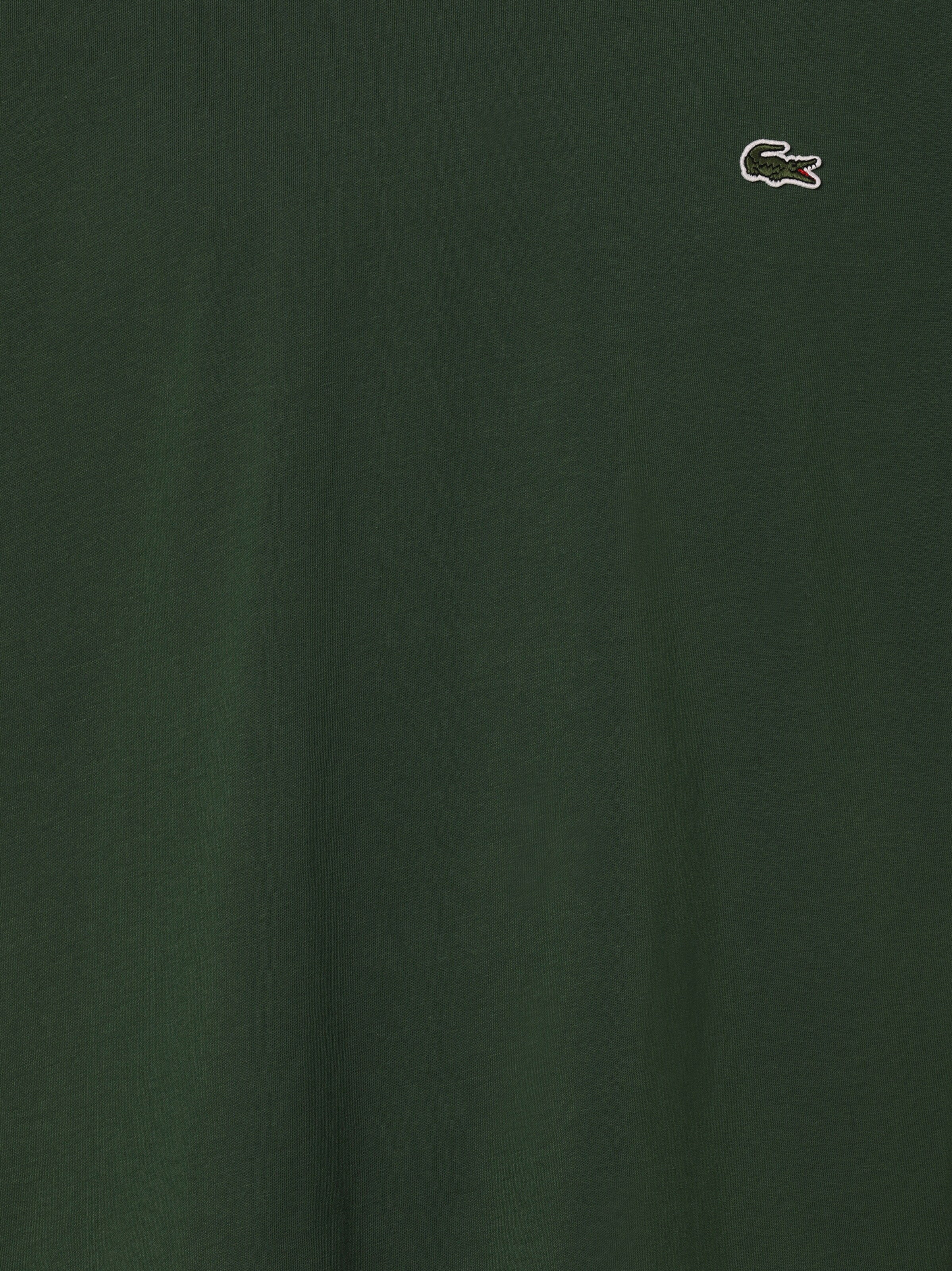 LACOSTE Shirt in Green