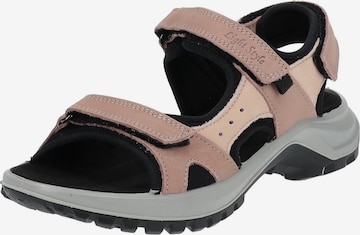 IMAC Sandals in Brown: front