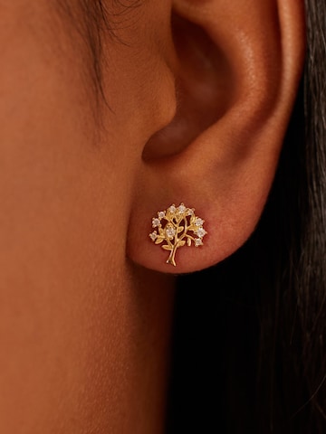 Lucardi Earrings in Gold: front
