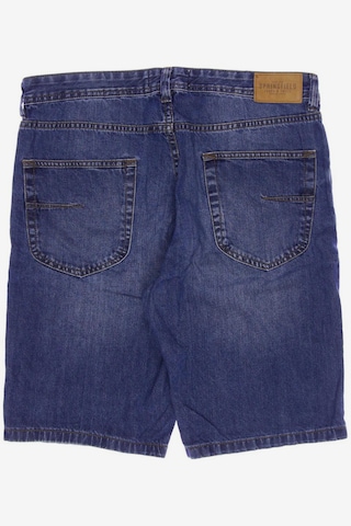 Springfield Shorts in 32 in Blue