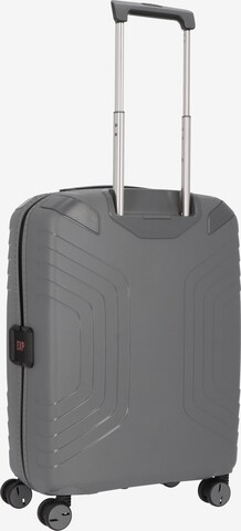 Roncato Trolley in Grau