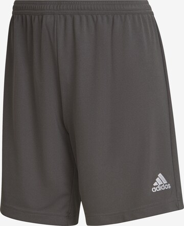 regular Pantaloni sportivi 'Entrada 22' di ADIDAS SPORTSWEAR in grigio