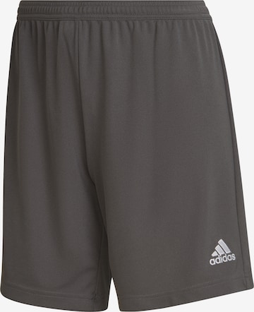 ADIDAS SPORTSWEAR Regular Workout Pants 'Entrada 22' in Grey