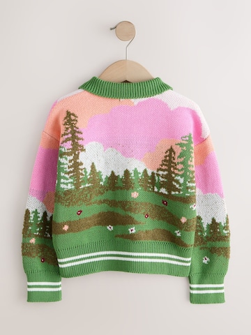 Next Gebreid vest in Gemengde kleuren