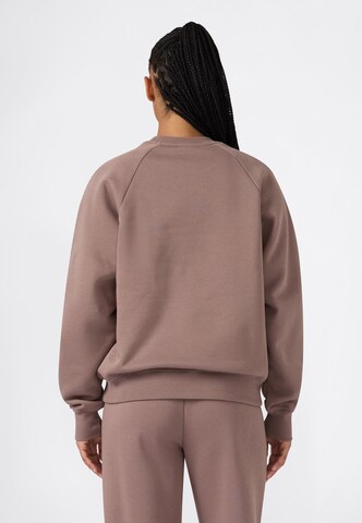 Champion Sweatshirt in Brown