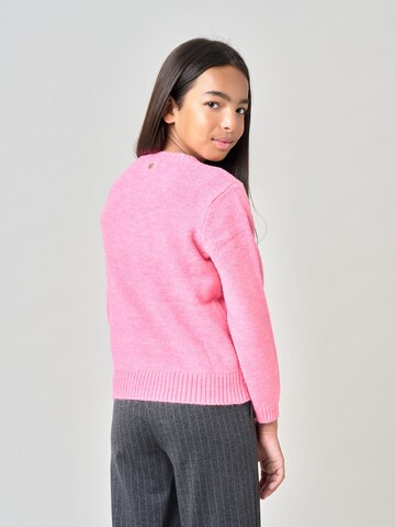 Deeluxe Trui in Roze