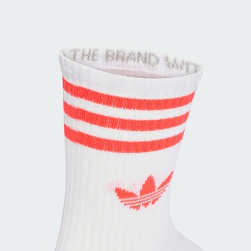 ADIDAS ORIGINALS Socks in White