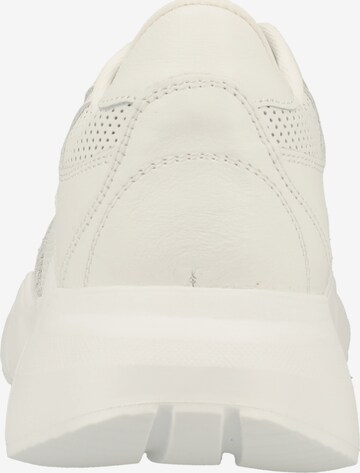 Sneaker bassa di Steven New York in bianco