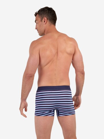 Boxers ' Atlantic ' HOM en bleu