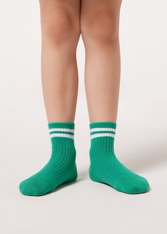 CALZEDONIA Socks in Green: front