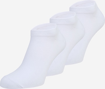 DIESEL - Calcetines 'GOST' en blanco: frente