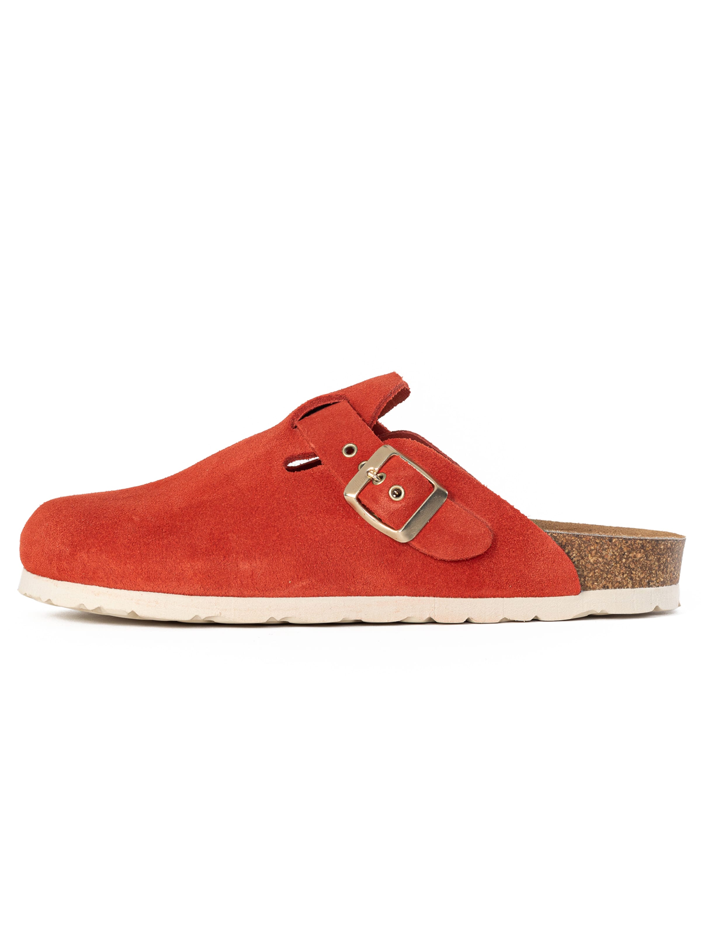 Bayton Μιούλ 'MILKY' σε καφέ: μπροστά