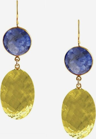 Gemshine Earrings in Mixed colors: front