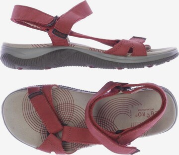 Legero Sandals & High-Heeled Sandals in 36 in Red: front