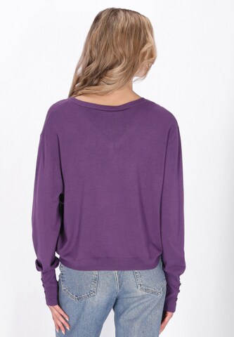 usha BLUE LABEL Pullover in Lila