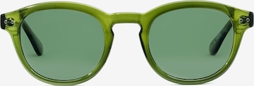 ECO Shades Solbriller 'Lupo' i grøn: forside