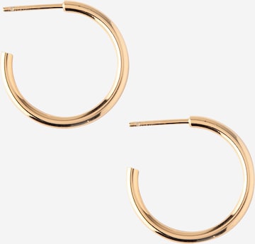 Orelia Earrings 'Chunky Hoops' in Gold: front