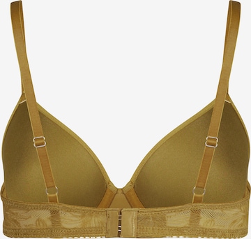 Skiny T-shirt Bra in Brown