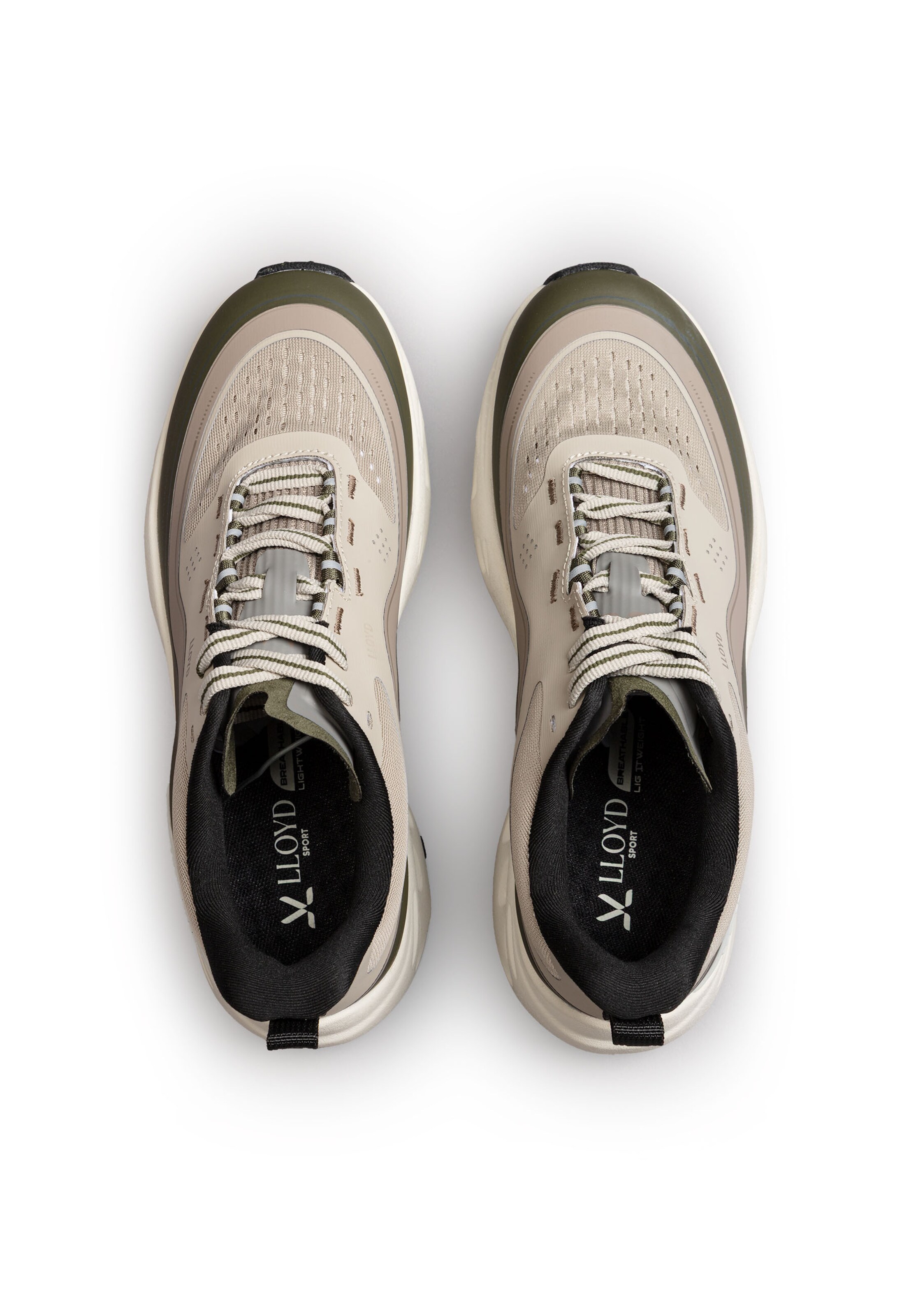 Baskets basses 'DASH X' LLOYD en marron