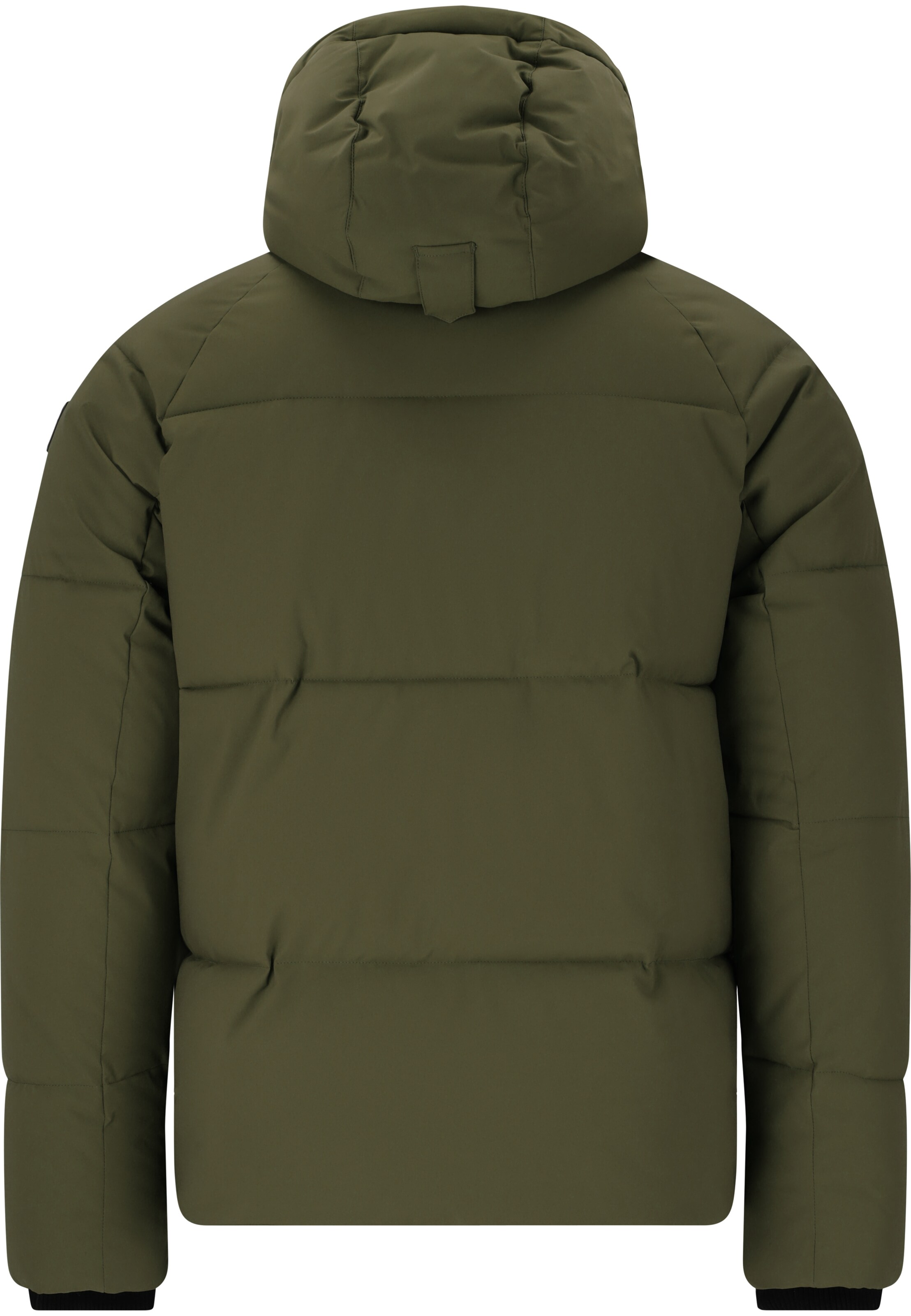 Whistler Winter Jacket 'Greyston' in Green