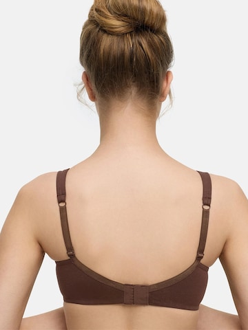 cfab by creamy fabrics Minimiser Bra in Brown