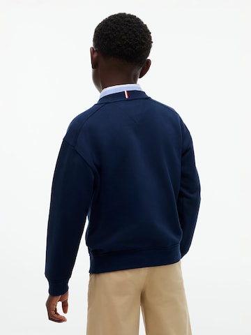 mėlyna TOMMY HILFIGER Megztinis be užsegimo 'BRAND LOVE'